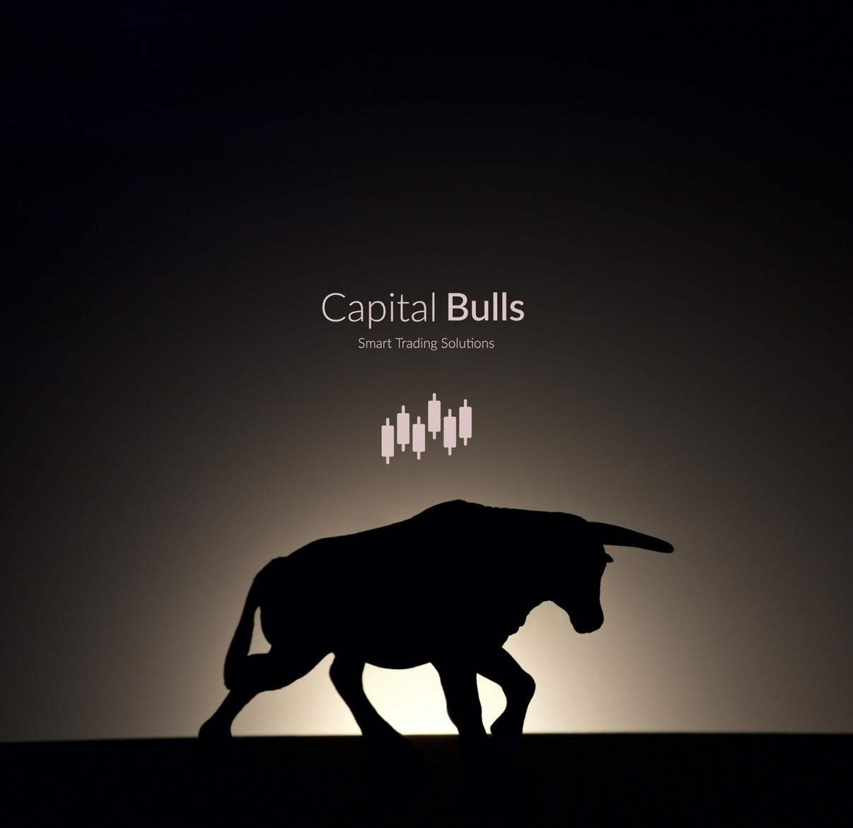 CapitalBulls  Logo